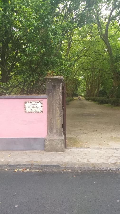 A Vista Dos Verdes فورناس الغرفة الصورة